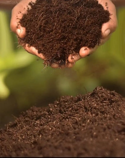 🌱 Organic Coco Peat Powder – Natural Soil Conditioner for Plants
